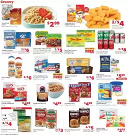 Family Fare weekly ad week 21 Page 11