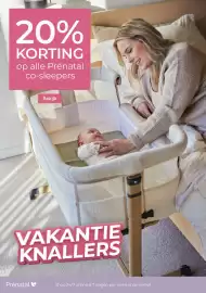 Prenatal folder week 21 Pagina 23
