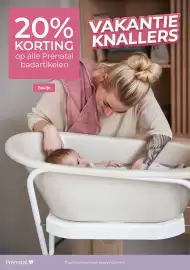 Prenatal folder week 21 Pagina 31