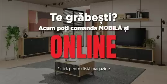 Catalog LEMS Pagină 2