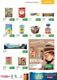 Tamda Foods leták týden 21 Strana 25
