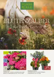 Pflanzen Kölle Prospekt woche 21 Seite 1