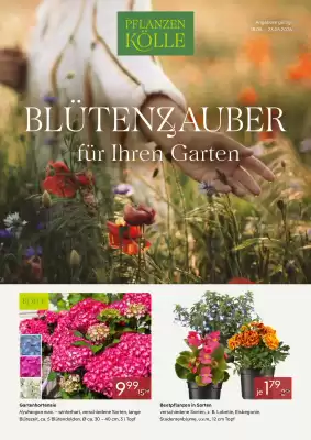 Pflanzen Kölle (gültig bis 23-05)