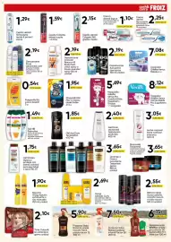 Folleto FROIZ Página 15