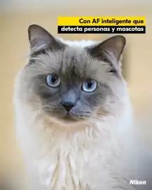 Catálogo Nikon Página 2