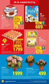 Lidl akciós újság hét 21 Oldal 70