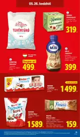 Lidl akciós újság hét 21 Oldal 73