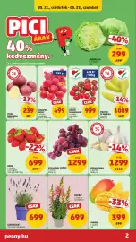 PENNY akciós újság hét 21 Oldal 2