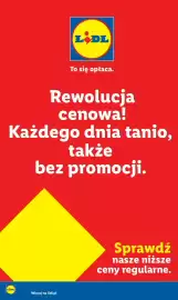 Lidl gazetka tydzień 21 Strona 1