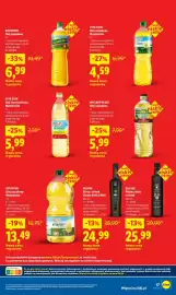 Lidl gazetka tydzień 21 Strona 17