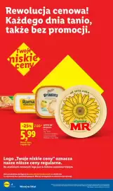 Lidl gazetka tydzień 21 Strona 4