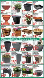 Wreesmann Prospekt Seite 8
