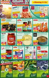 Norma Prospekt woche 22 Seite 7