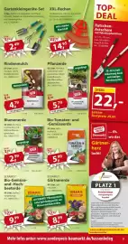 Sonderpreis Baumarkt Prospekt woche 21 Seite 9