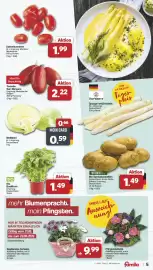 Famila Nord West Prospekt woche 21 Seite 5