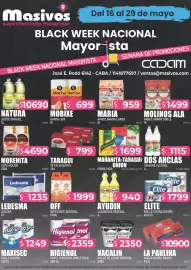 Catálogo Masivos Página 1