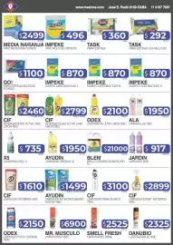 Catálogo Masivos Página 10