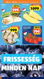 ALDI akciós újság hét 21 Oldal 10