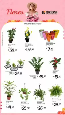 Encarte Giassi Supermercados (válido até 21-05)