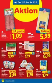Lidl Flugblatt woche 21 Seite 10