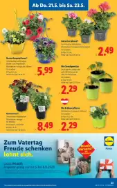 Lidl Flugblatt woche 21 Seite 27