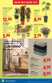 Lidl Flugblatt woche 21 Seite 29