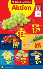 Lidl Flugblatt woche 21 Seite 37