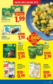 Lidl Flugblatt woche 21 Seite 40