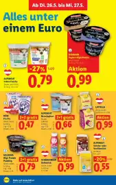 Lidl Flugblatt woche 21 Seite 43