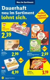 Lidl Flugblatt woche 21 Seite 47