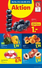 Lidl Flugblatt woche 21 Seite 5