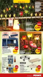 PENNY DE folder week 21 Pagina 31