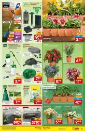 Netto Marken-Discount DE folder week 21 Pagina 13