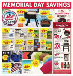 Ace Hardware flyer Page 1