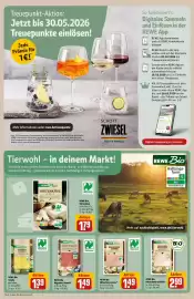 REWE Prospekt woche 21 Seite 16