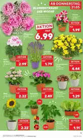 Kaufland DE folder week 21 Pagina 5