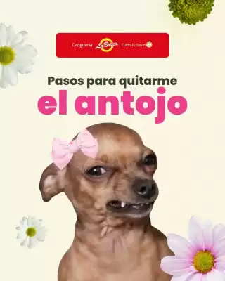 Droguería La Botica (válido hasta 18-05)