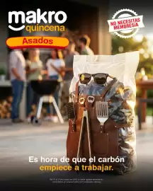 Catálogo Makro Página 1