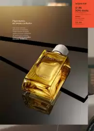Catálogo Yanbal Página 29