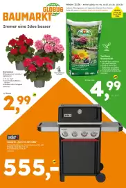 Globus Baumarkt Prospekt Seite 1