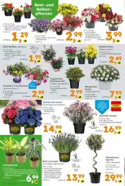 Globus Baumarkt Prospekt Seite 2