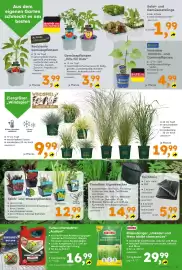 Globus Baumarkt Prospekt Seite 3
