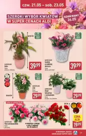 ALDI gazetka tydzień 21 Strona 39