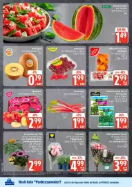 Marktkauf Prospekt Seite 8