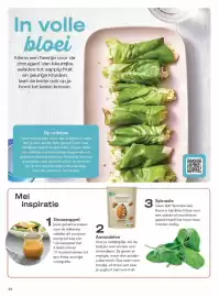 Boodschappen folder Pagina 26