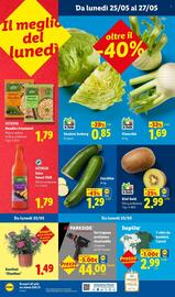 Volantino Lidl settimana 21 Pagina 54