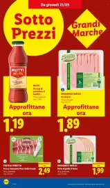 Volantino Lidl settimana 21 Pagina 10