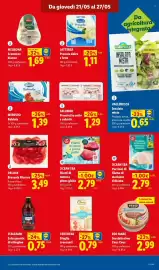 Volantino Lidl settimana 21 Pagina 15