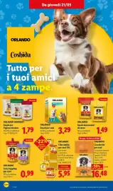 Volantino Lidl settimana 21 Pagina 22