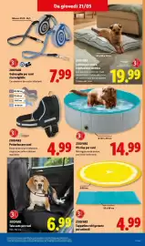 Volantino Lidl settimana 21 Pagina 35